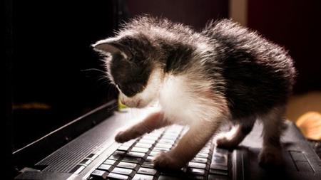 Landing Your First Cybersecurity Job