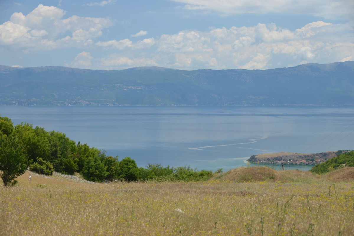 DSC-9014.jpg