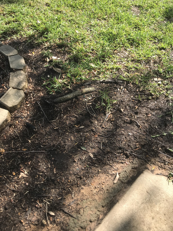 8A8C2564-6E02-4B71-A49D-4905C8ECC4A1