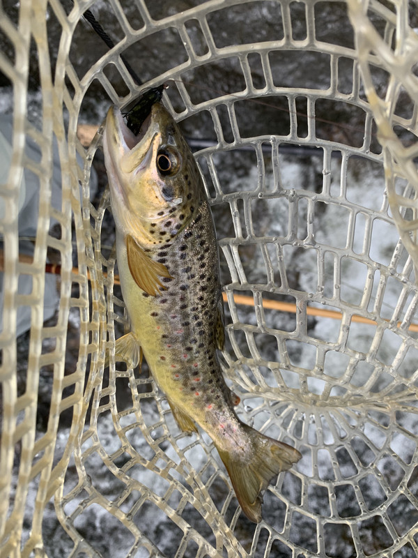 5CE0BCFA-F509-4E14-A479-8596DC7A709B