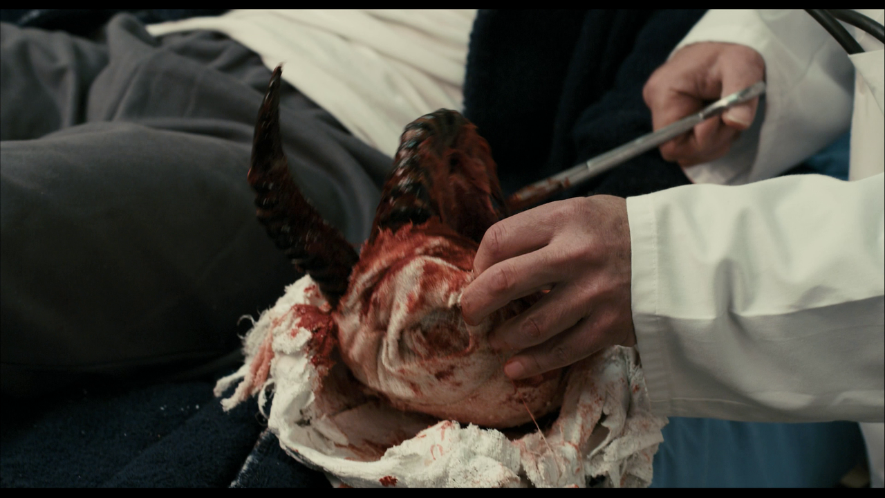 vlcsnap-2022-08-04-12h46m42s714