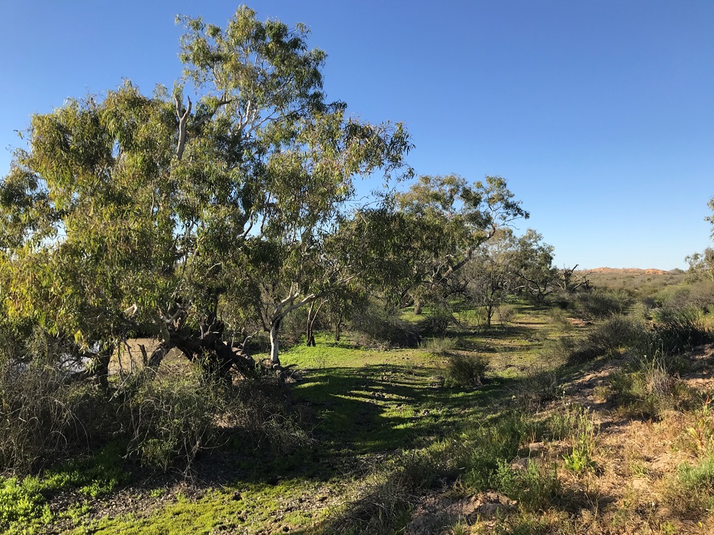 2019-Madigan-Line-Simpson-Desert-TRIP-402.jpg