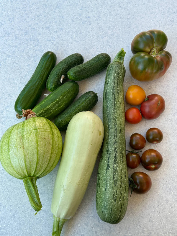 veggies-1.jpg