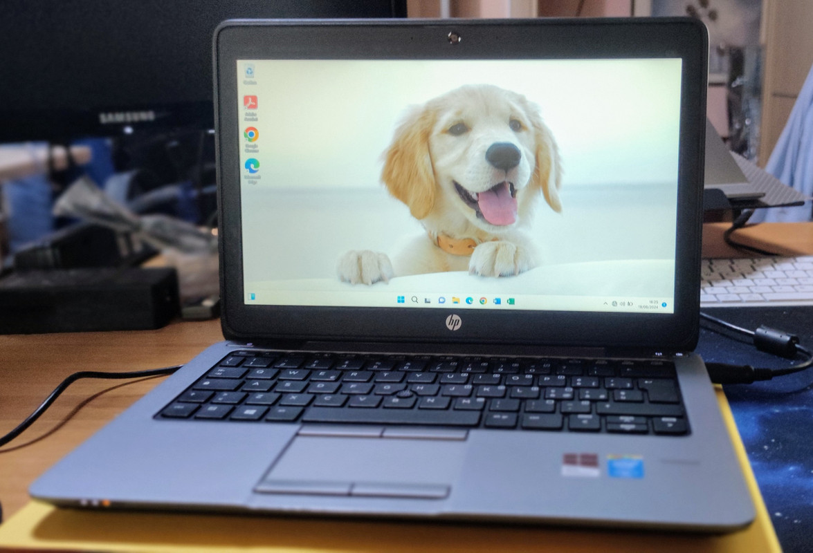 IMG_20240819_182527~2