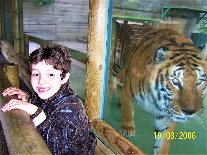 ZOO DE MADRID-1992/2001/2006/2007-MADRID - Paseando por España-1991/2016 (12)