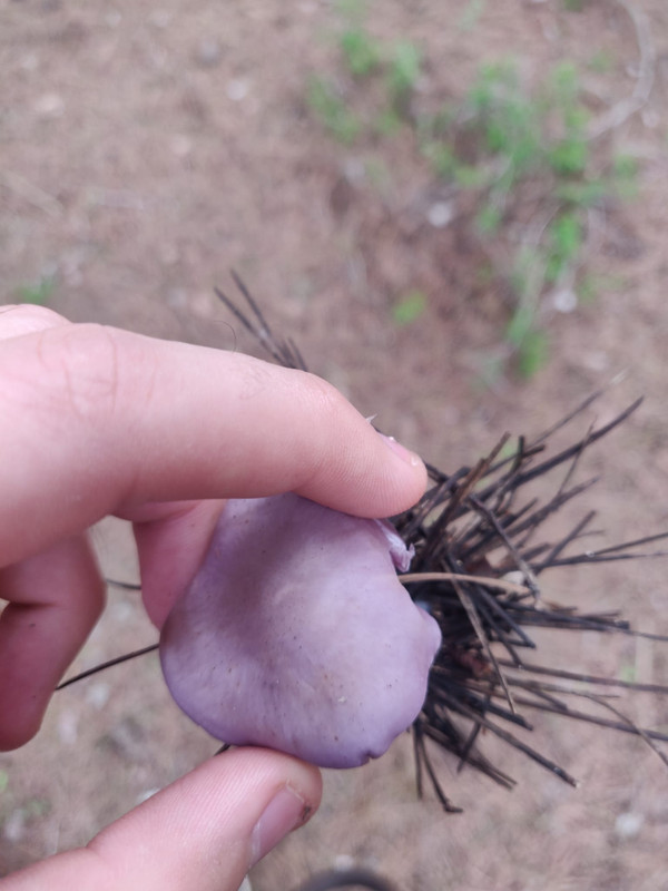 WhatsApp Image 2022-12-15 at 13.50.53 (2)