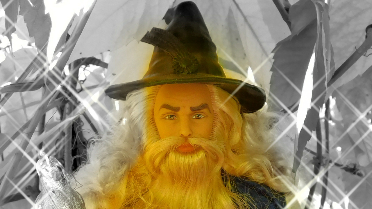 Осенне дачное-Мерлинское 096