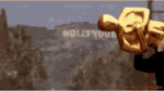 IMG-6940.gif