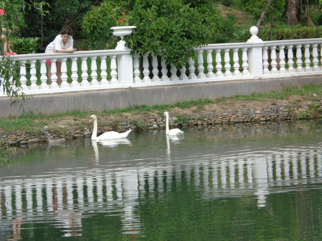 image - 2021-05-19T155317.061