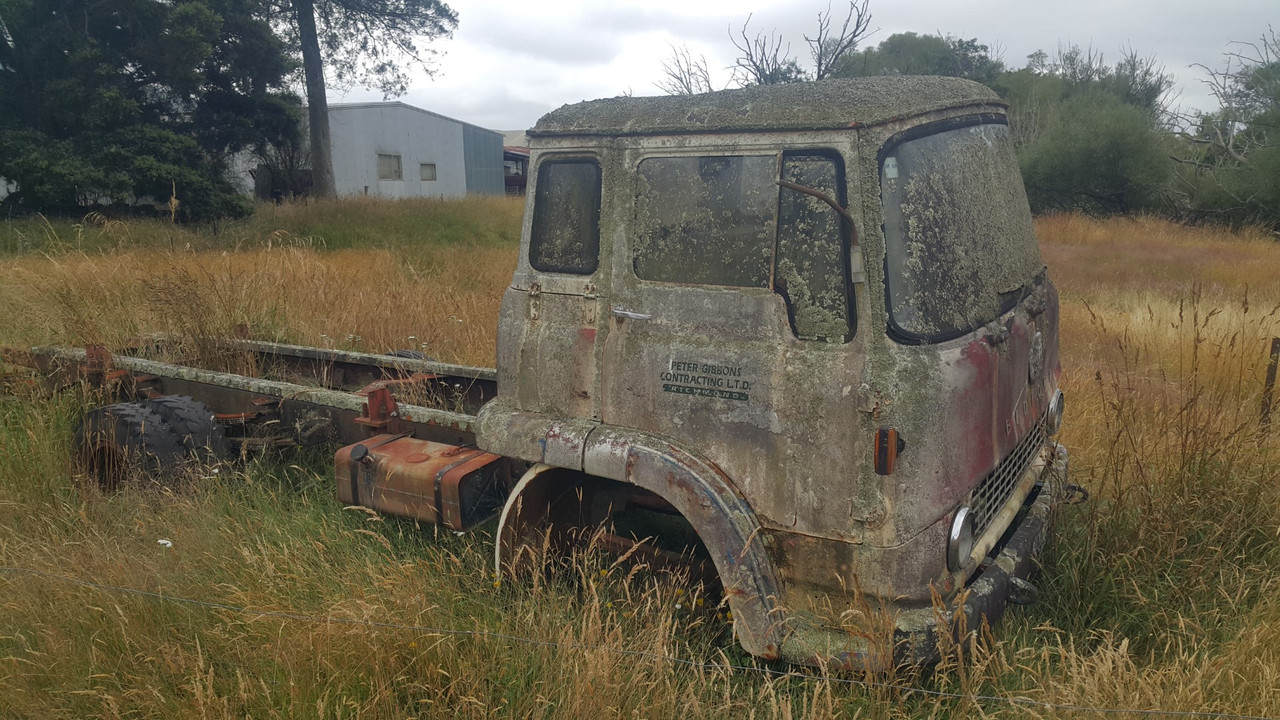 20210109_125609 (Large)