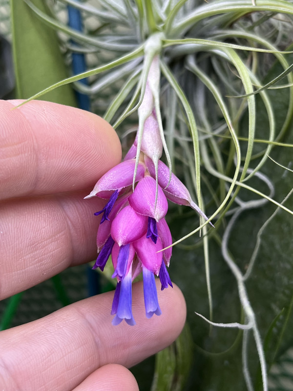 433FFC66-0A31-4541-B1F5-2FE0BA4A05B8