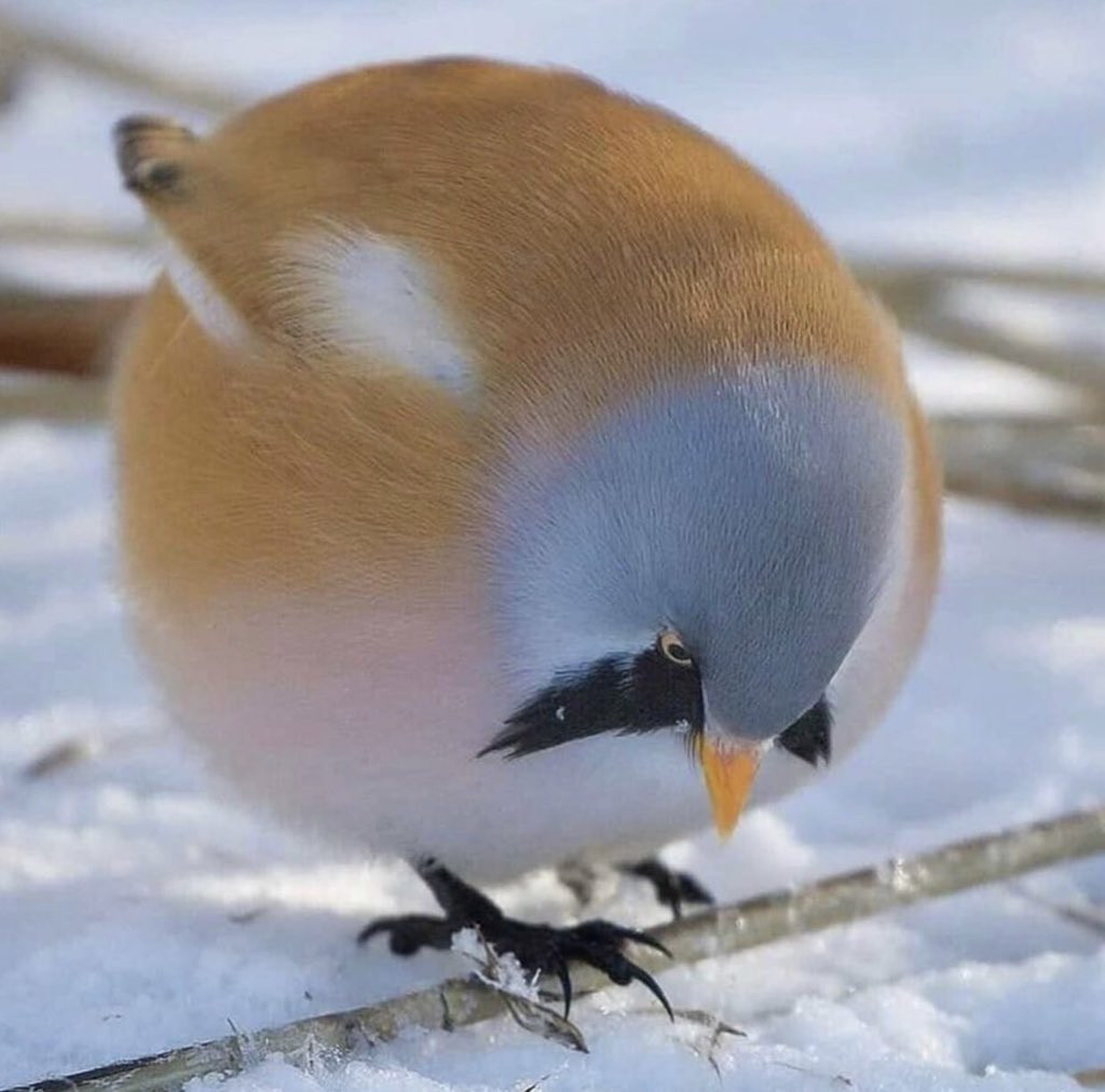 江湖潇洒