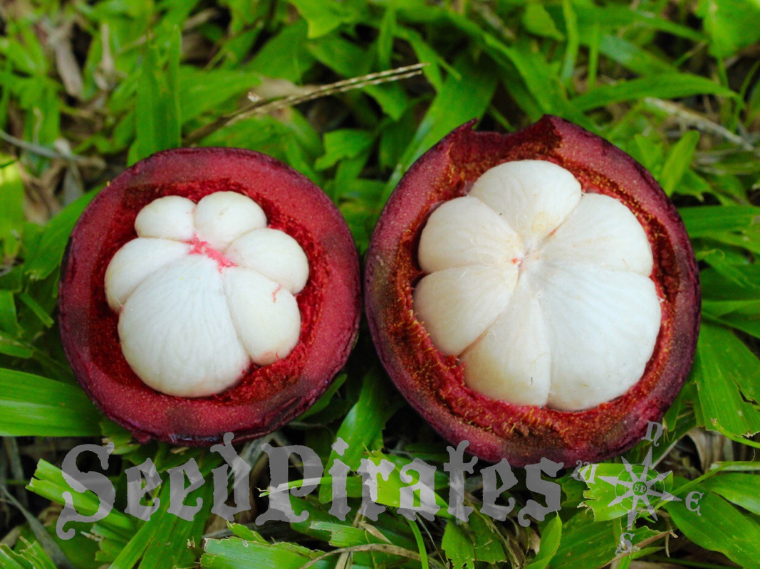 F0561527-C32F-4DCE-89DA-8B0E006ACD60