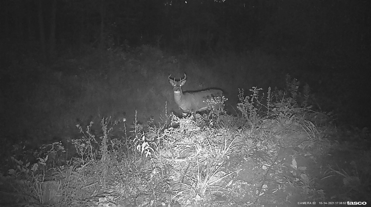 89FA9BF9-E585-48CF-8027-70E54C65AABC