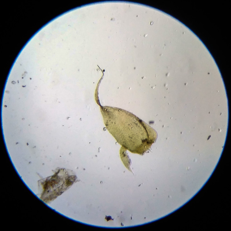 IMG 20250614 205247 HDR