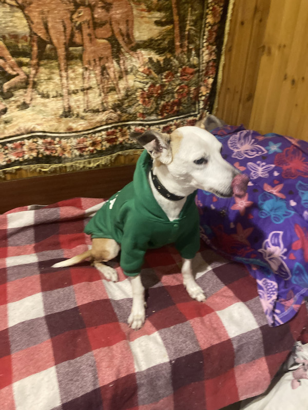 CDC9D18A-3607-4949-B5F9-567FC1C8A40A