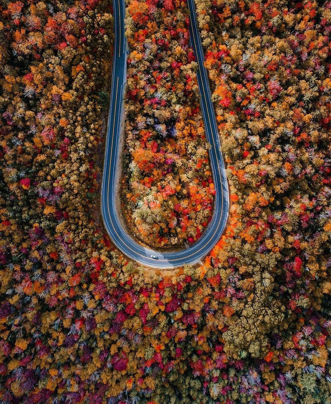 Screenshot_20231127_230744_Instagram