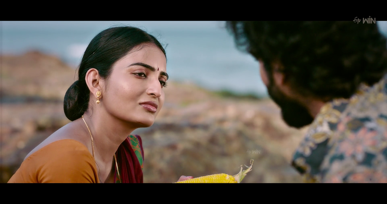 vlcsnap-2025-01-24-17h58m57s207