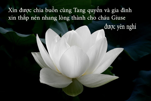 [Image: thanh-kinh-phan-uu.png]