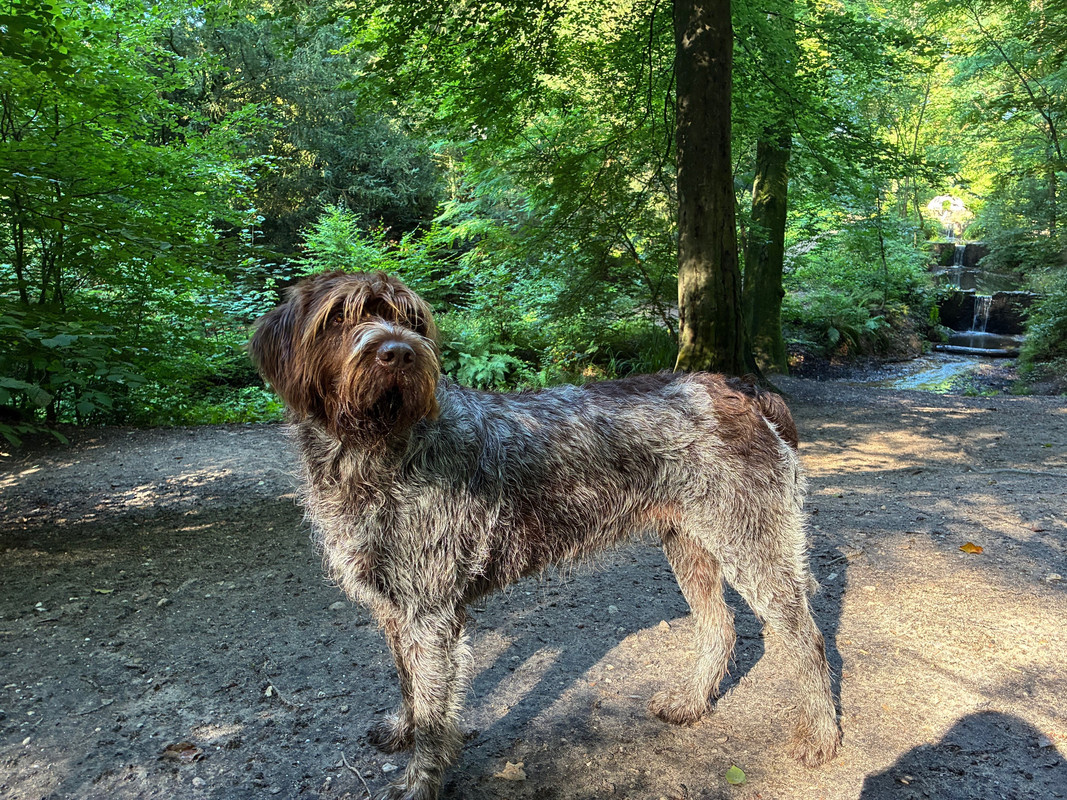 2025-03-08 Claire 2 IMG_5138 (002)