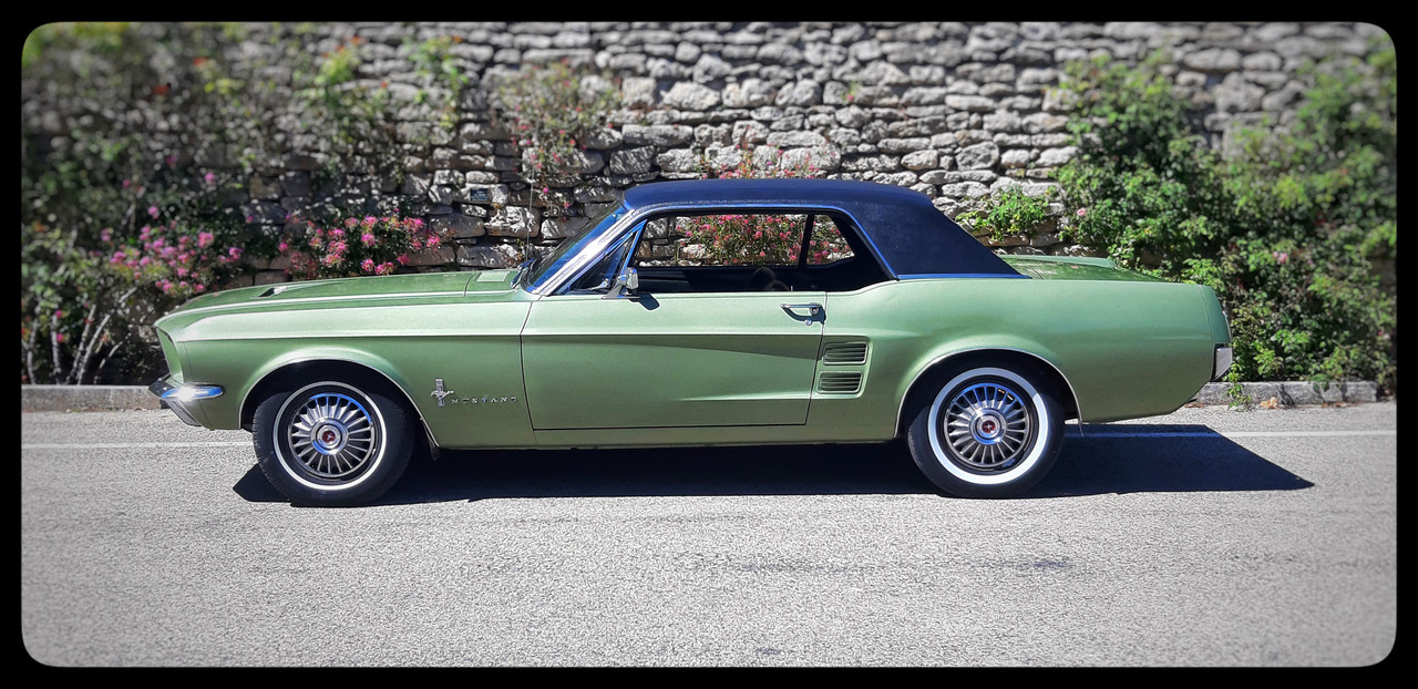 FD10156C-50E4-4525-83C3-122974EE8C81