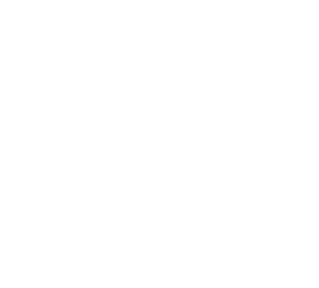 President's Gold 2025