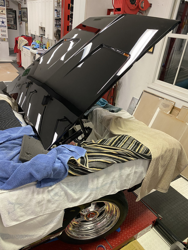 53E12908-5354-48A0-AE71-4EA30E96E785