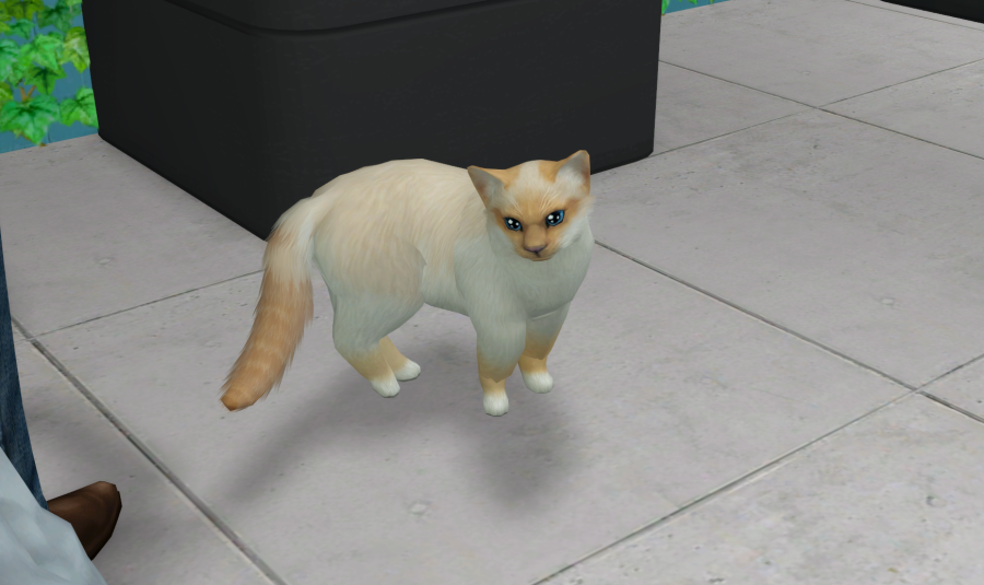 Sims2-EP9-RPC-2021-04-04-14-57-36-87