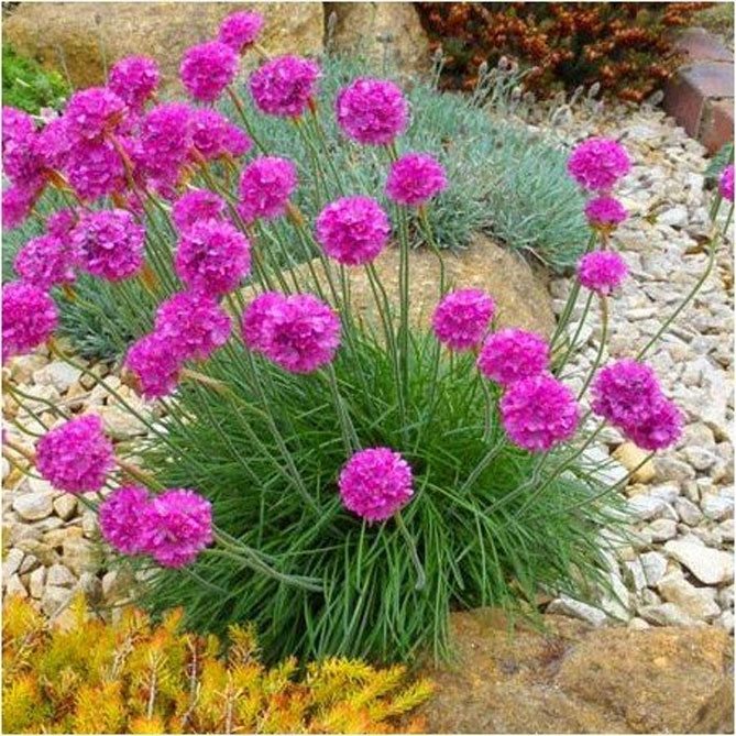 8A5DBB62-7F18-47A5-870B-9A9CD1A72D03