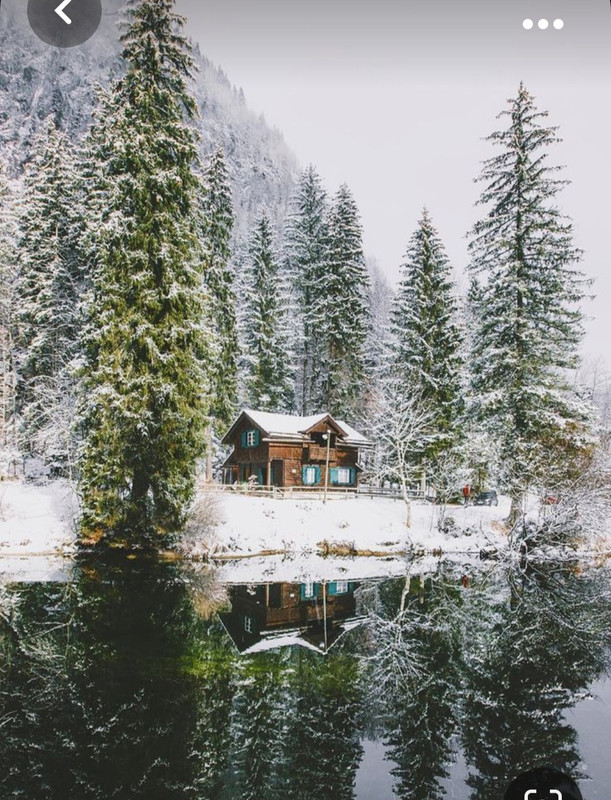 Screenshot_20231017_191132_Pinterest