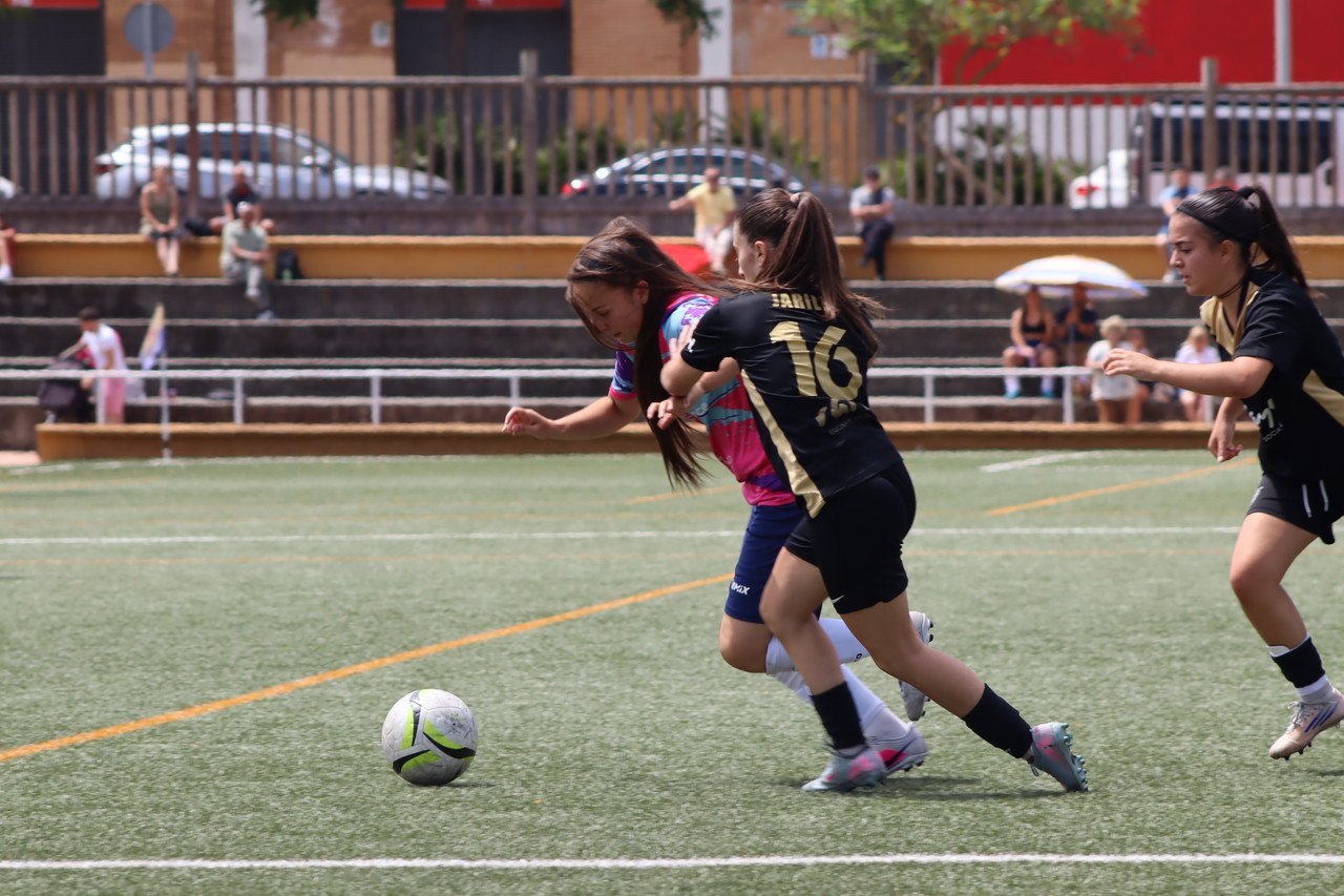 IMG-7606