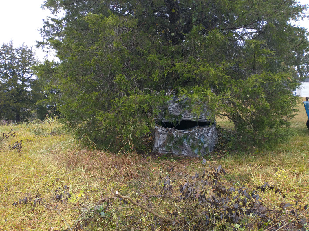 IMG_20221013_092933402