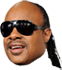 stevie.png