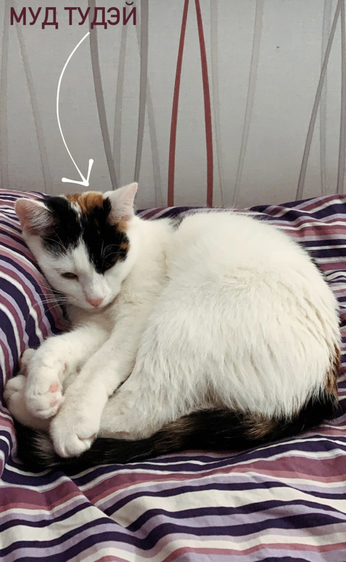 03BCC79A-525B-4D2E-9AAF-3BD0399AD386