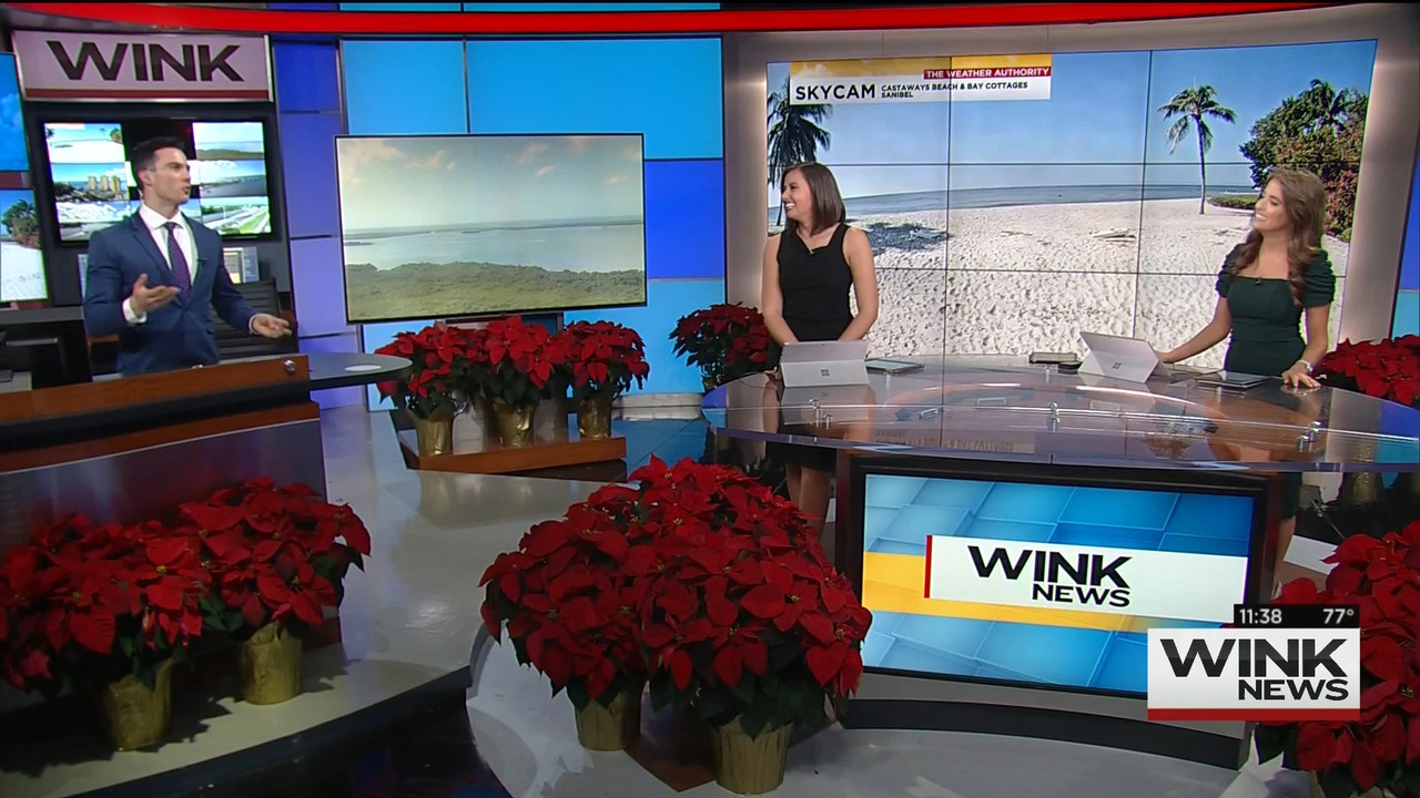 11.22 - 16.30.00 - WINK News @ 11 30AM..ts_snapshot_14.52.488