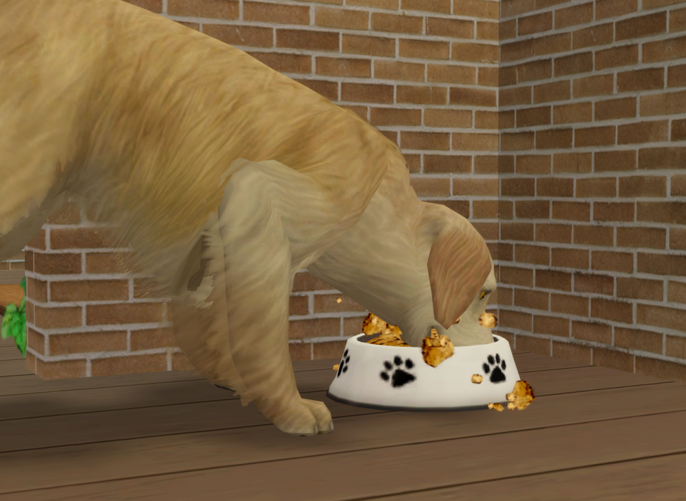 Sims2-EP9-RPC-2022-02-06-14-15-58-14