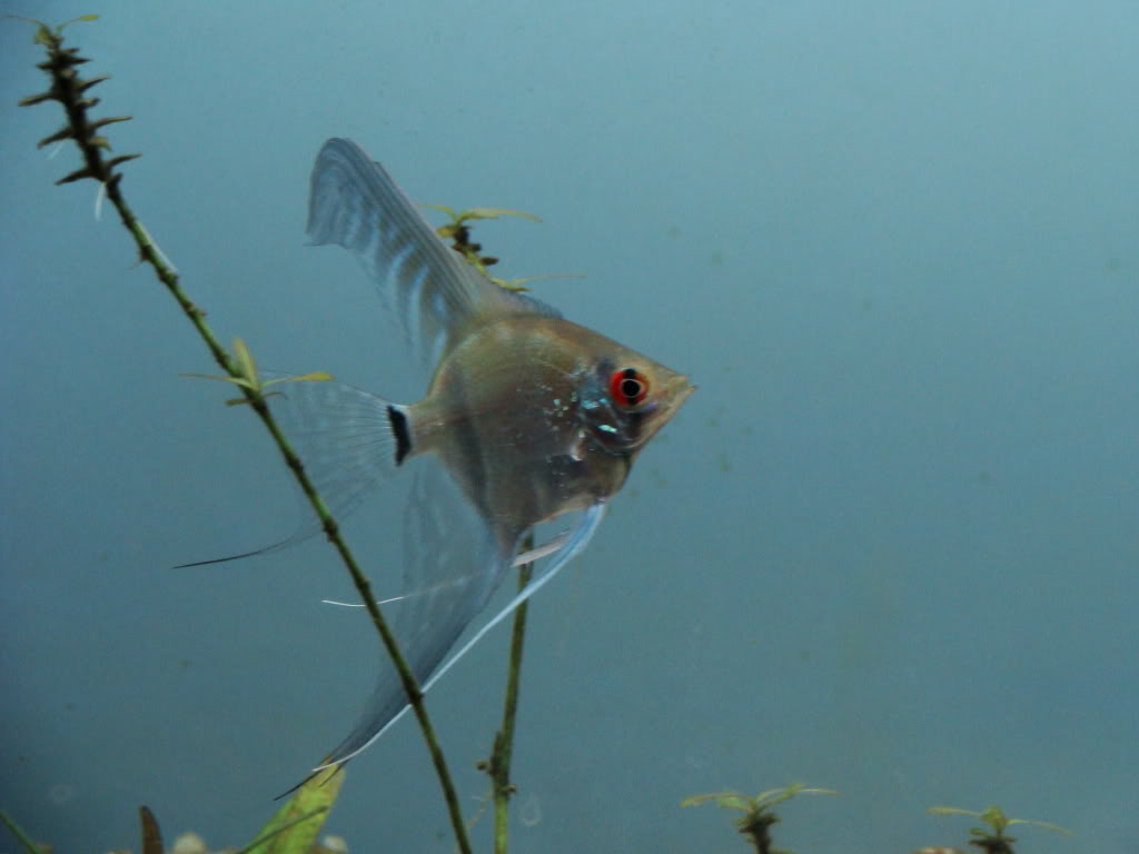 DSC08135.jpg