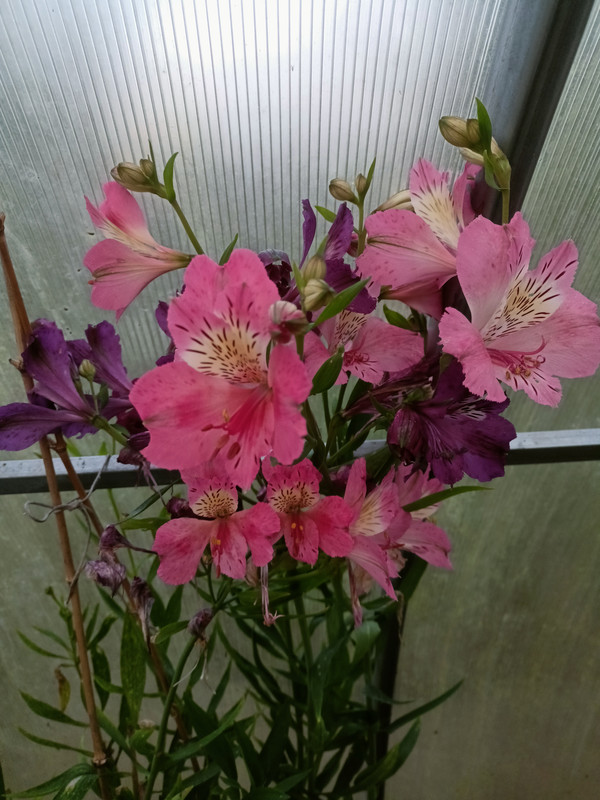 IMG20250920185240
