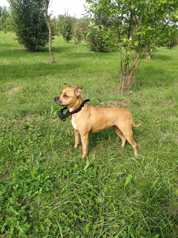 033E5B7C-2E1A-4E24-B6D9-65F38F4F4CAE