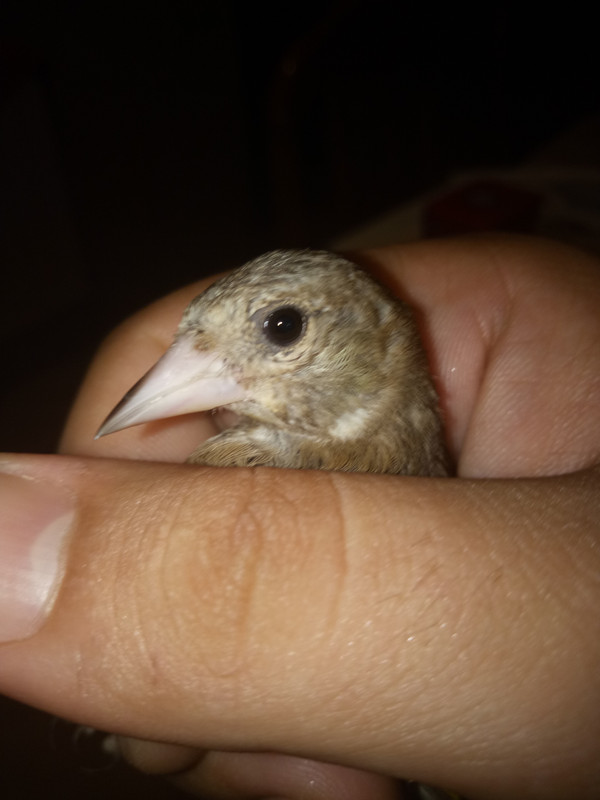 IMG20180915175601