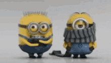 minions-cold.gif