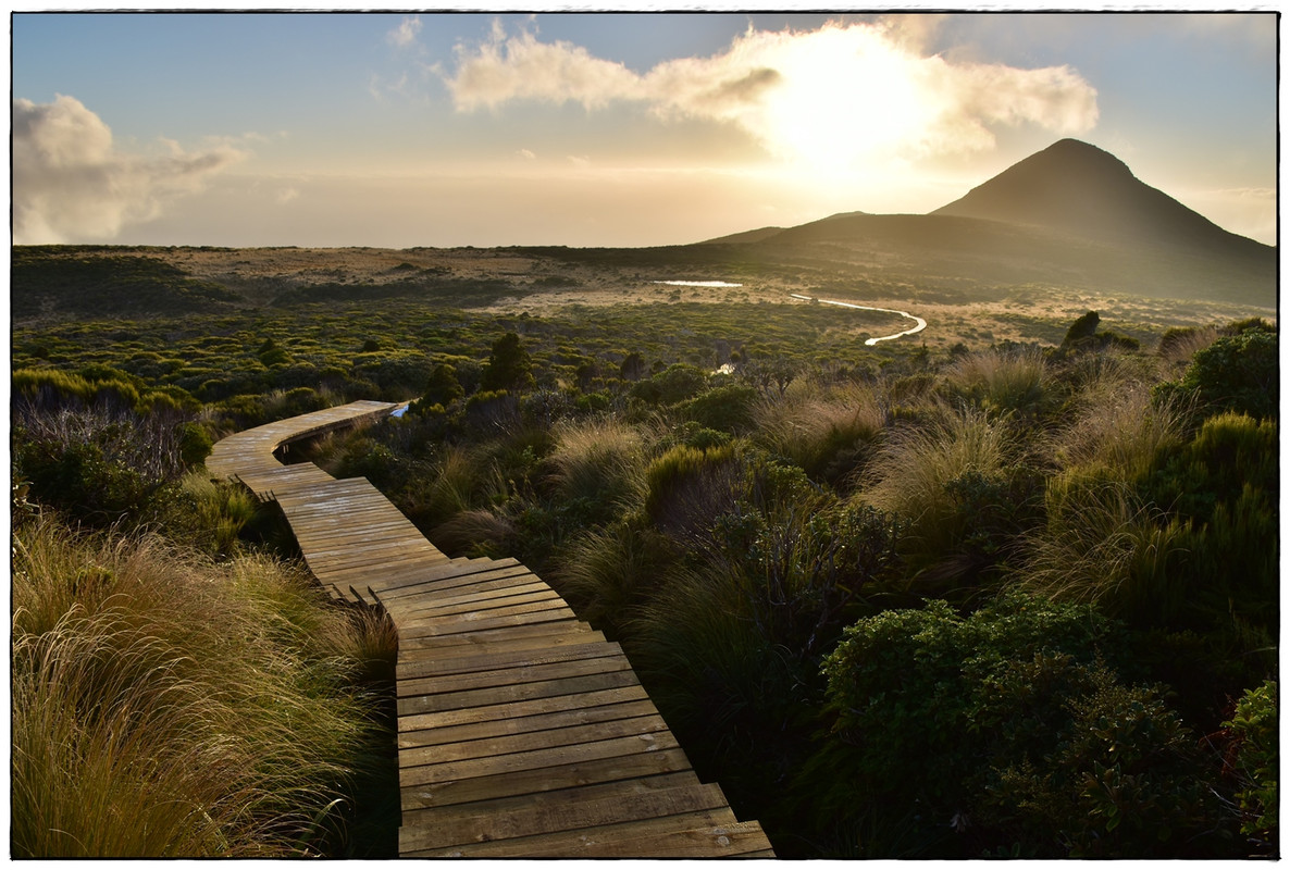 Escapadas y rutas por la Nueva Zelanda menos conocida - Blogs de Nueva Zelanda - Egmont / Taranaki NP: Pouakai Circuit (marzo 2021) (27)