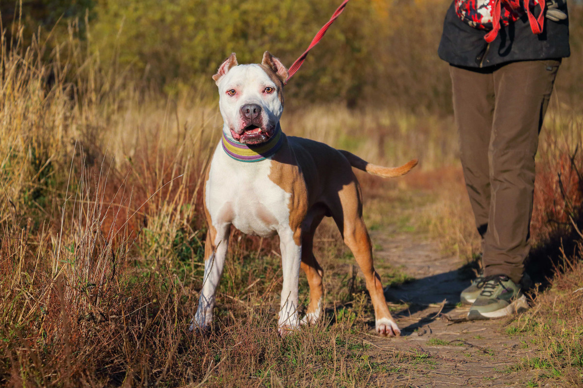 FD85E585-7670-4530-AFC4-8B56CA53FC28