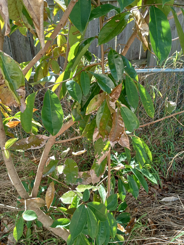 IMG_20250127_105220869_HDR