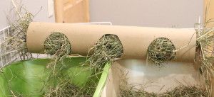 00518977d7720a591632d2f976f3b5c9