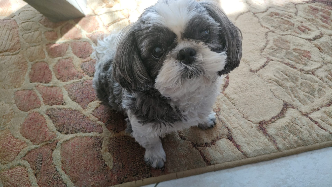 [Image: 0c733786-77b1-44f2-ac66-e37fd2dbd233.jpg]