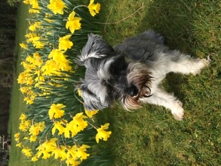 40A25DFB-10B7-48ED-AA6C-4321990BE694