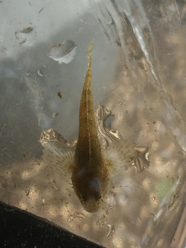 5F7FA283-D836-4CB0-A9CB-723A18664D15