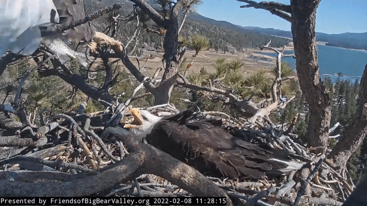 Webp.net-gifmaker (4)