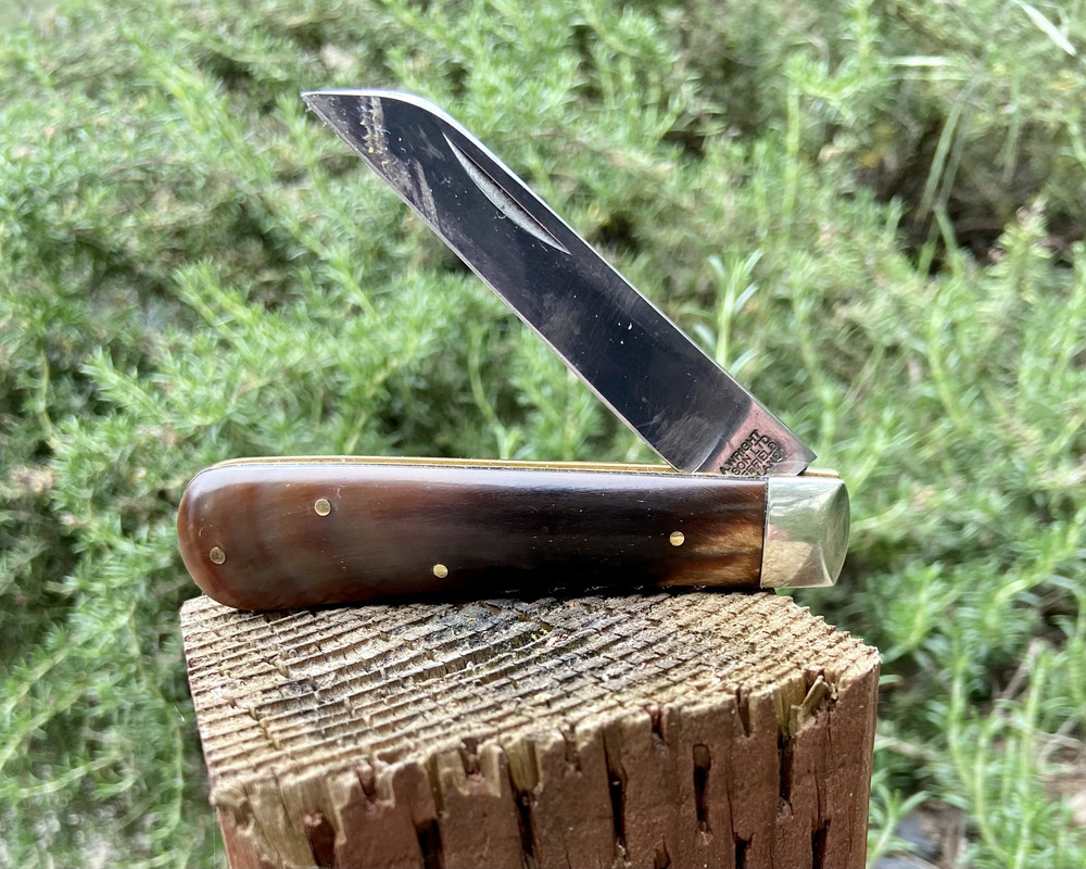 FDF7B126-8E94-4683-8817-65B913F39676_1_201_a